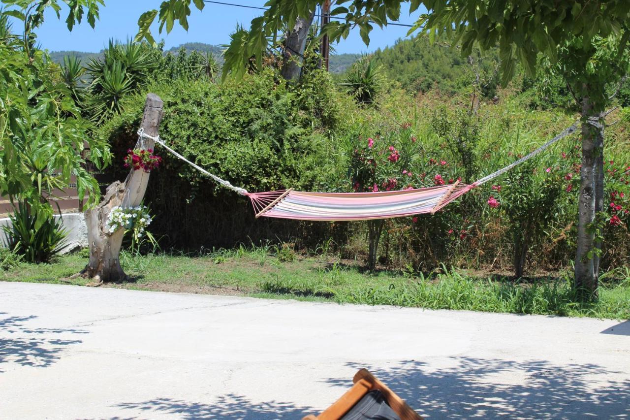 Anastazia Paradise Κολιός Εξωτερικό φωτογραφία
